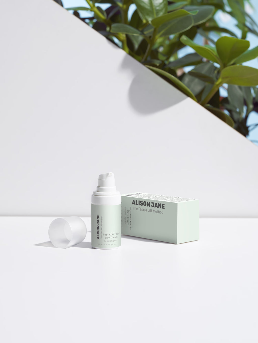 Alison Jane Signature Facial Dew Cream